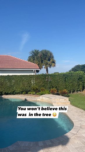 Crazy! #reels | Breathtaking Reels