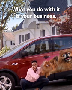 4.1K views · 162 reactions | With Drive Safe & Save you can save up to 30% on auto insurance. Is your tail wagging yet? | State Farm | Facebook