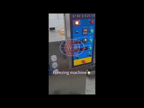 Automatic Ice Popsicle Production Machine | High-Capacity Molded Lolly Line