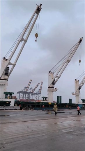 Massive Breakbulk Import Vessel at Adani Hazira Port 🚢 | Heavy Cargo Operation #indianports