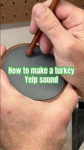 Gobbler-bringing hen yelp technique #turkeyhunting #calling #shorts