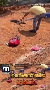 എന്നാലും ഈ പാമ്പ് ഇത് എവിടെന്ന് വന്നു!! ഒന്നാം ക്ലാസുകാരന്റെ ബാഗിൽ മൂർഖൻ പാമ്പ്