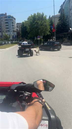 #fyp #virale #atv #adrenaline #atv850_ #quad #mitrovica #albania #fyyyyyyyyyyyyyyyy #kosovo