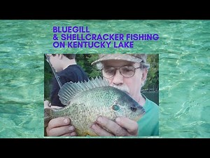 Bluegill and Shellcracker Fishing on Kentucky Lake
