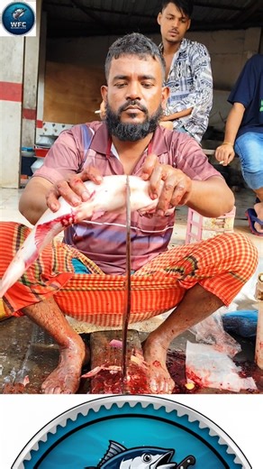 "Fast, Clean, Precise – Pangas Fish Cutting Like Never Before!" #asmr #fillet #fishspecies #howto