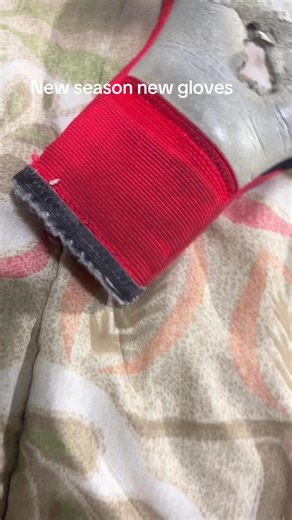 Jœŷ_břįðğě (@blue.jay.edits)’s videos with оригинальный звук - Mer