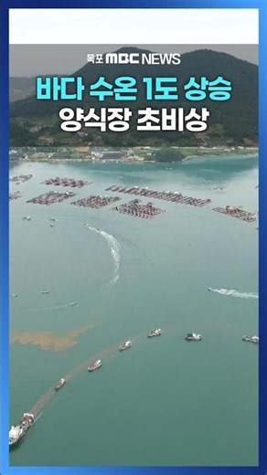 Jeollanam-do Forecasts Early Issuance of High Water Temperature and Red Tide Advisories #shorts