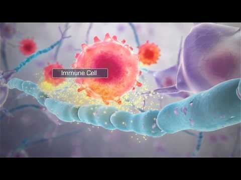 Nerve Cell Destruction in Multiple Sclerosis