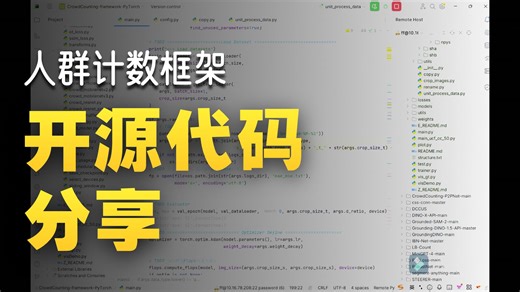 统一的人群计数训练框架（PyTorch)