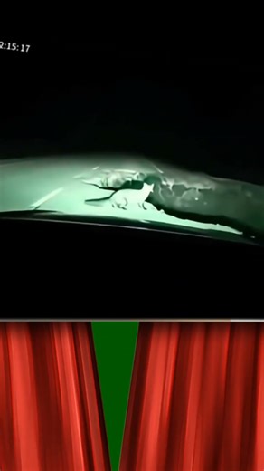 ⭐ “This Is How God Protects You—Most People Have No Idea 😳🙏”