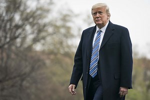 A children’s book that Trump would love