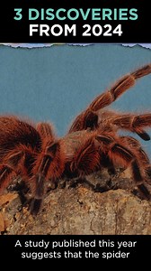 3 discoveries from 2024