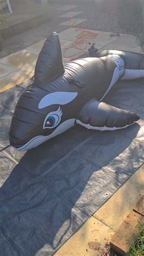 Intex whale inflatable! March 2026.