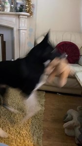 1K reactions · 148 comments | Barney watching himself on TV | Stephen Kelleher | Facebook