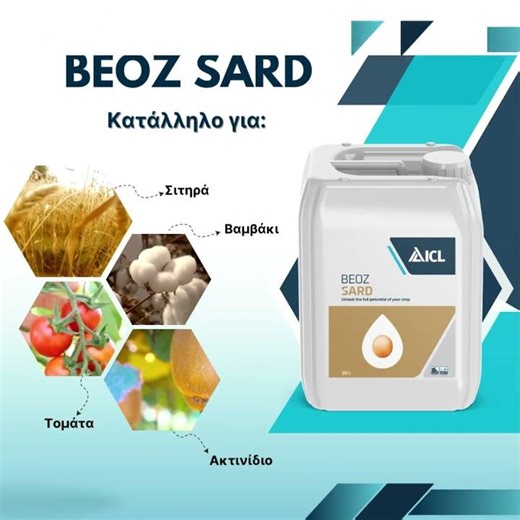 BEOZ™ Sard – Nutrient Enchancer