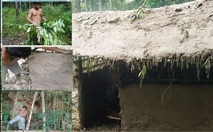 原始技术：在森林里使用树木和泥土建造房屋 [Evolution of primitive technology]