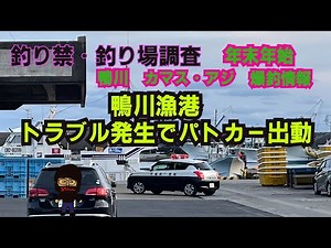 釣り禁・釣り場調査 【鴨川港】ついに、釣り禁止になってしまうのか？警察出動で立入禁止か？ アジ・カマス爆釣の代償