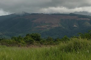 PCIJ releases Lopez mine audit reports; MICC review stays secret | ABS-CBN News