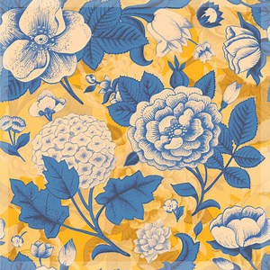 ShakySuperFly - Ssf1