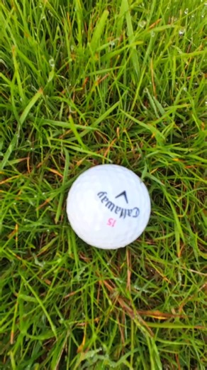 40K views · 151 reactions | Golf Tip: How To Hit a Flop Shot #golf #golftips #golfdrills #golflesson #golfcoach #golflife #golfaddict #golfswing #golfpro #fyp #fy #trending #golftok | Coach Lockey | Facebook