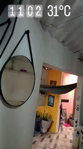 Lualves /🎭Plus-size on Instagram: "Essas são ótimas forma para quem @shopee_br gosta de algo prático. Descartável link https://s.shopee.com.br/2LRYZzm2Hw?share_channel_code=3 #shpee #criadoradeconteudo #dicasdecasa"