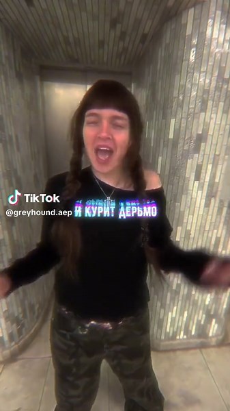 Cute Greyhound Moments That Brighten Your Day