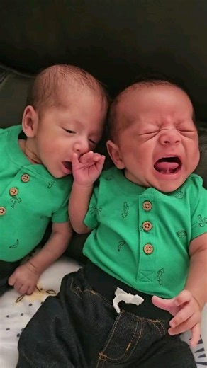 385K views · 8.8K reactions | My babies after lunch.. now they want to go back to eating to sleep #triplets #maternidad #bebe #comidabebe #prematuros #trillizos #lactancia #bebes | babies.view | Facebook