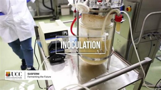 Masters in Industrial Biotechnology and Biomanufacturing | Keith O’Connor