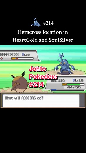 Heracross Location in Pokémon HeartGold & SoulSilver