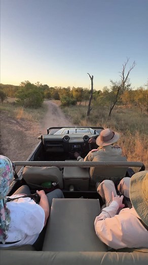 Spectacular Safari Journal Day 3 Highlights