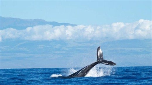 Goa: गोवा में कितने बीच हैं, टॉप पर्यटन स्थलों के बारे में जानें