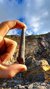 108K views · 1.2K reactions | We found a perfect 3D ammonite, a...