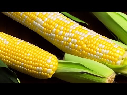 how to cook sweet fresh corn