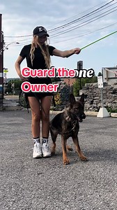 Guard the owner‼️ In this scenario, Scorpion is to alert and form a shield around my body, circling backwards and forwards to prevent the threat from reaching me. She must hold her position and bite only if the threat comes in to attack, or if she is told to come off my body and attack. #dogtrainer #dogtraining #offleashdog #montrealdogtrainer #fypシ #gsd #ppd #czechgsd #familyprotectiondog