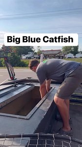 1.1K views · 224 reactions | HUGE blue catfish!! | Tyler Barnes | Facebook