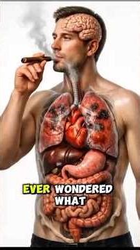 What happens when you smoke cigar|Doctors Show What Cigar Smoke Does to Your Organs