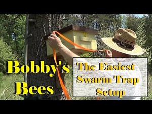 THE EASIEST SWARM TRAP SETUP