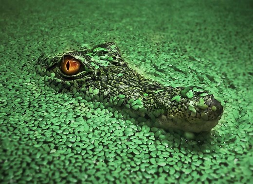 Why Do Bad Things Happen to Good People – A Beautiful Story