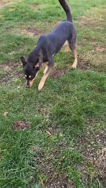 1.7K views · 62 reactions | Looking to put a smile on your face and...