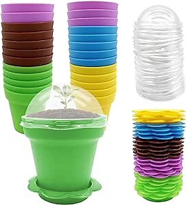 PURPLE STAR 1N 25 Packs Cupcake Plant Nursery Pots with Humidity Dome-Small Flower Pots for Kids-Planting Containers Cups for Indoor Outdoor Plant Succulent Display (Mixed Color)