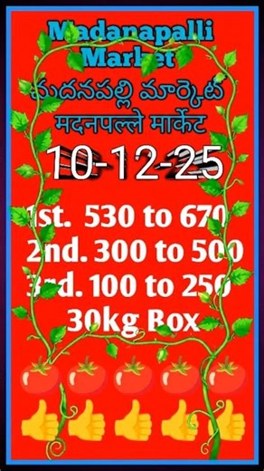 Madanapalli tomato rate