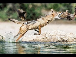 KVK Vangxa Katuuo -Tuvare Twakapanda