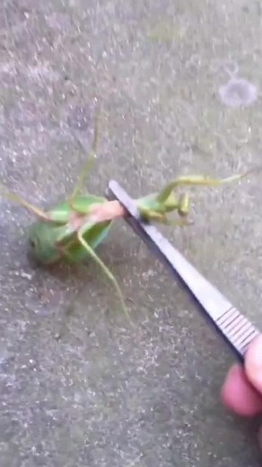 user145957563214 on TikTok