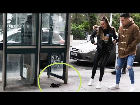 Crawling Spider Prank