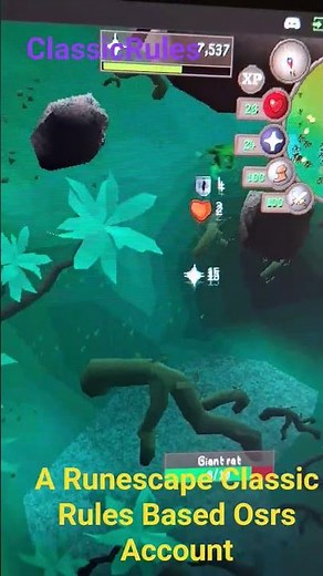 Training Defense and Prayer On A Runecape Classic Rules Locked Osrs Account #osrs #runescape