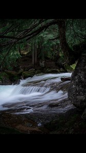 7.2K views · 108 reactions | Last June exploring the temperate rainforest near Nelson, B.C. Later that day I ended up hiking in three feet of snow about four miles from this spot. #temperaterainforest #adventuretravel#adventurephotographer #vlog #mylife #hikingphotography #canadianrockies #britishcolumbia #travel #waterfall #sonyalpha #wilderness #pucktography | Pucktography | Facebook