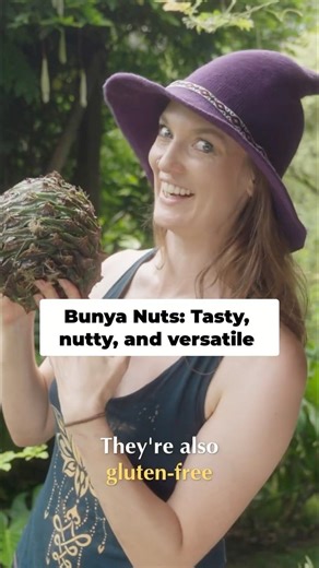 Delicious Aussie Bush Food Nutty & Versatile