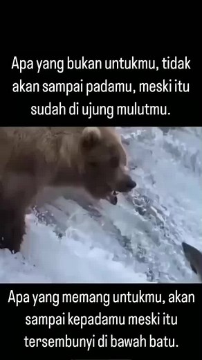 tetap tawakal kepada Allah SWT yg maha segalanya ya sobat...