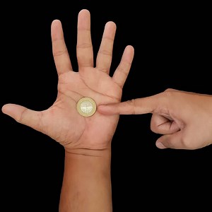24K views · 314 reactions | In this video you will see 6 coin magic tricks. These all coin magic trick are very easy. Hope you will love this video. #magic #magictricks #coin #coins | Magic Trick Guru | Facebook