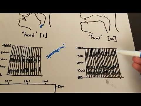 Formant Frequencies Mini-Lesson